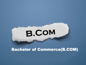 Bachelor of Commerce (B Com)