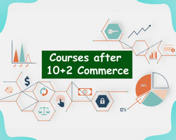 Courses After +2 Commerce
